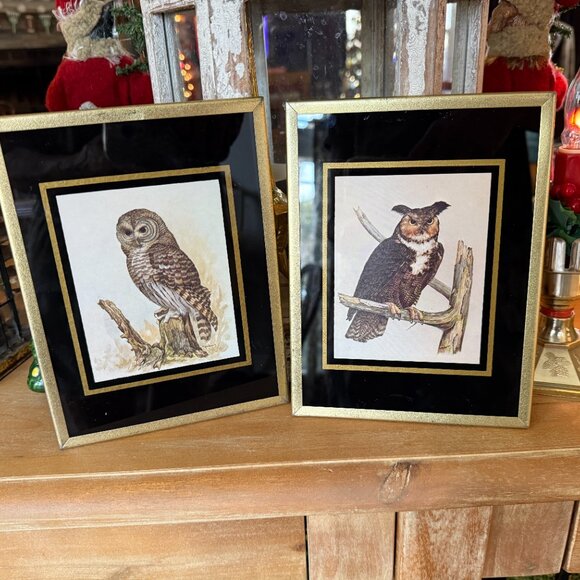 1971 Reverse paint Owl pictures - Picture 13 of 14